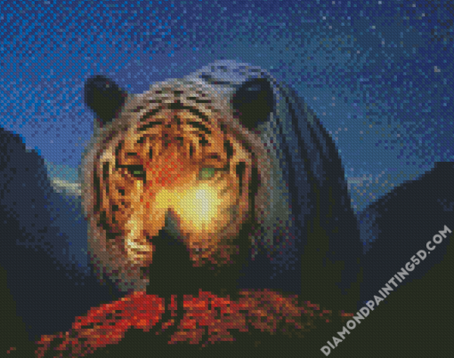 Man And Tiger In Night Diamond Paintings