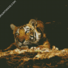 Wild Tiger In The Night Diamond Paintings