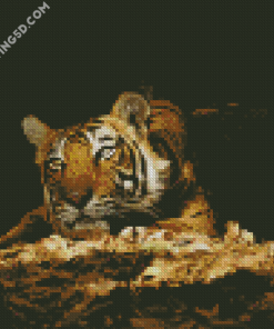 Wild Tiger In The Night Diamond Paintings