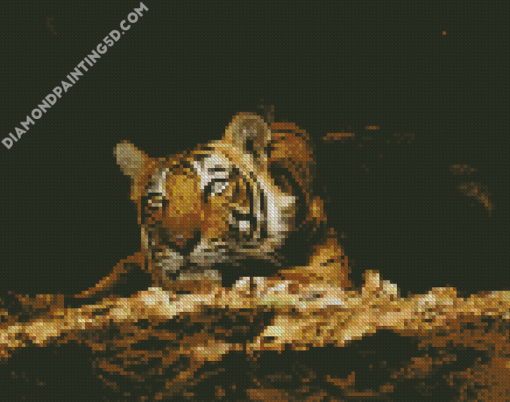 Wild Tiger In The Night Diamond Paintings