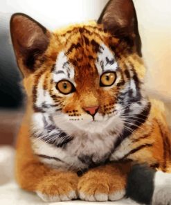 Kitten Tiger Diamond Paintings