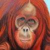 Orangutans Diamond Paintings