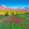 Oregon Mountains Landscape Diamond Paintings