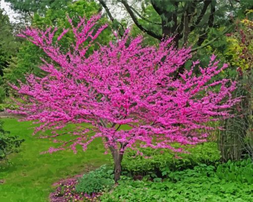 Redbuds Nature Diamond Paintings