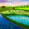 Rice Field Diamond Paintings