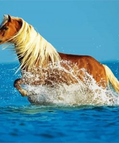 Running Horse In Water Diamond Paintings