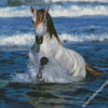 Adorable Horse In Water Diamond Paintings