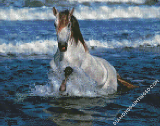 Adorable Horse In Water Diamond Paintings