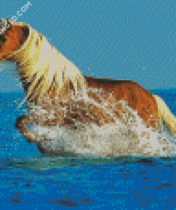 Running Horse In Water Diamond Paintings