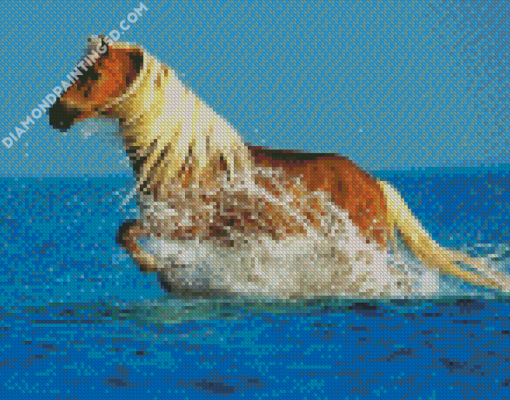 Running Horse In Water Diamond Paintings