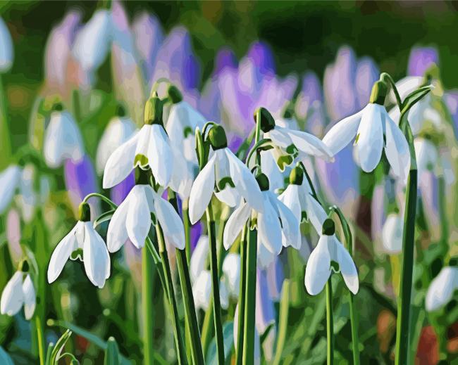 Snow Drops Plants Diamond Paintings