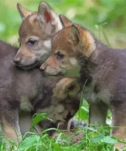 Wolf Cubs Diamond Paintings