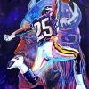 Aesthetic Minnesota Vikings Diamond Paintings