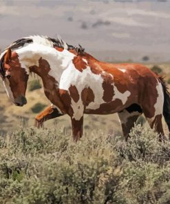 Aesthetic Piccaso The Horse Diamond Paintings