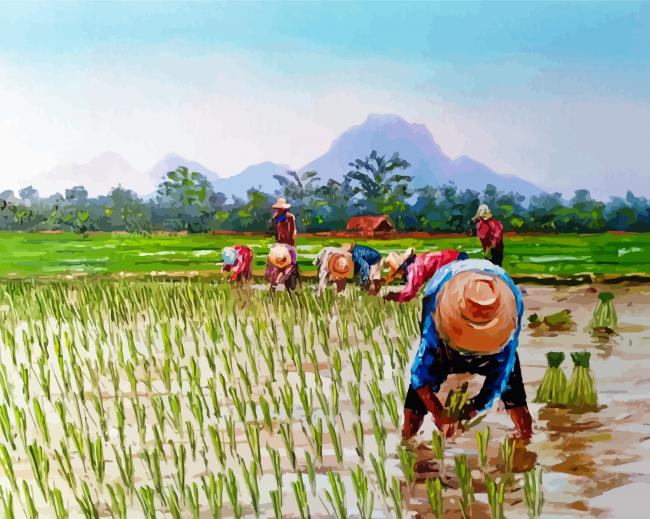 Aesthetic Rice Field Diamond Paintings