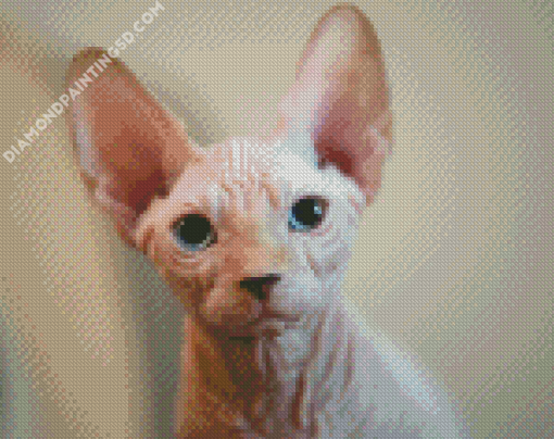 Aesthetic Hairless Cat Diamond Paintings