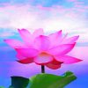 Aesthetic Pink Lotus Blossom Diamond Paintings