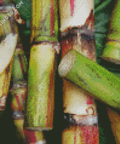 Aesthetic Sugarcane Plant Diamond Paintings