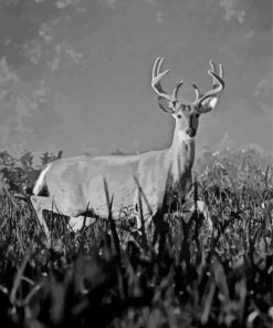 Black And White Deer Antlers Diamond Paintings