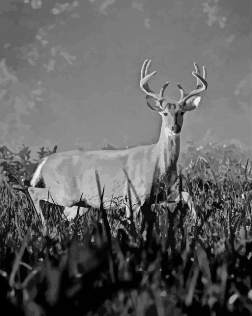 Black And White Deer Antlers Diamond Paintings