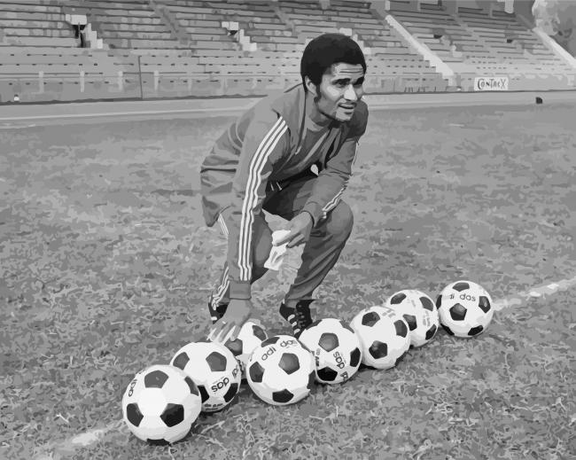 Black And White Eusebio Da Silva Diamond Paintings