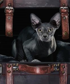 Black Hairless Cat Diamond Paintings