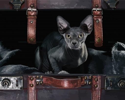 Black Hairless Cat Diamond Paintings