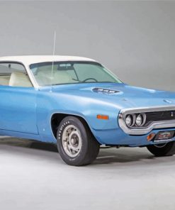 Blue 1971 Roadrunner Diamond Paintings