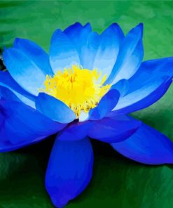 Blue Lotus Blossom Diamond Paintings