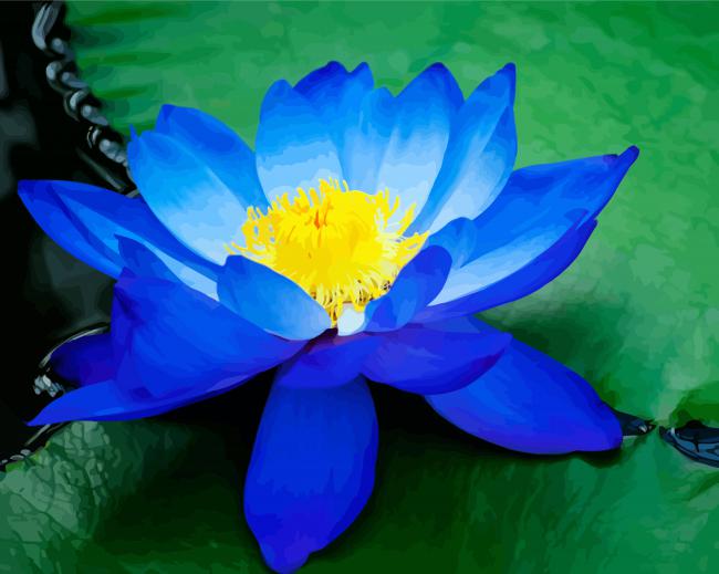 Blue Lotus Blossom Diamond Paintings