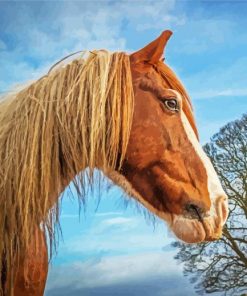 Brown Cob Horse Head Diamond Paintings