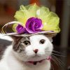 Cat With Flowering Hat Diamond Paintings