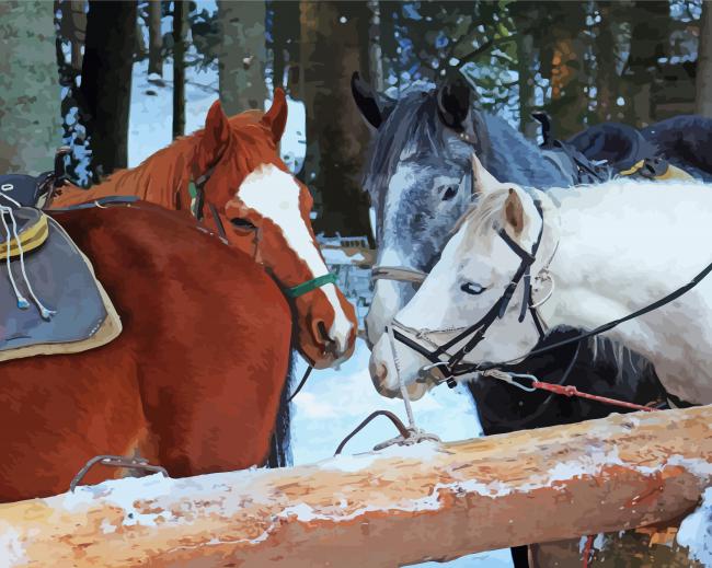 Cob Horses Animals Diamond Paintings