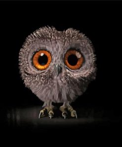 Cute Baby Owl Diamond Paintings