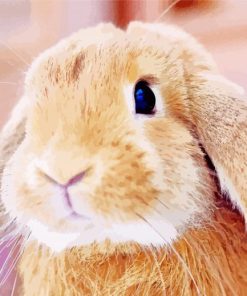 Cute Brown Female Bunny Diamond Paintings