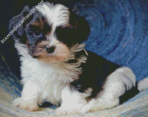 Cute Shih Tzu Black And White Diamond Paintings