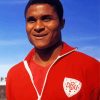 Eusebio Da Silva Player Diamond Paintings