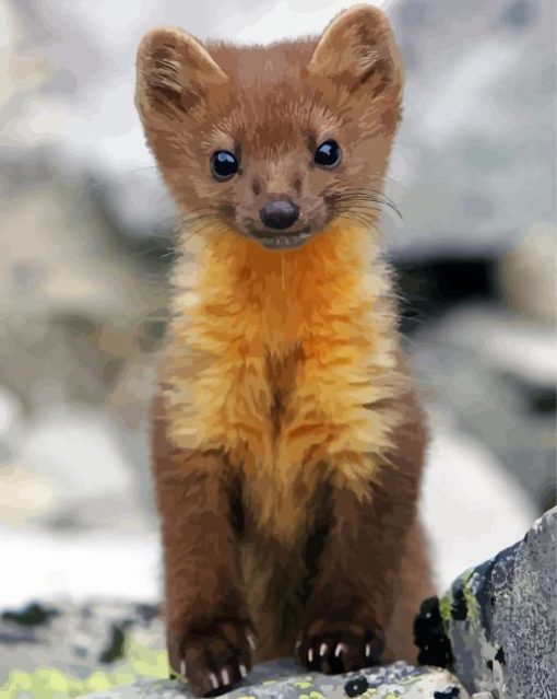 Marten Animal Art Diamond Paintings