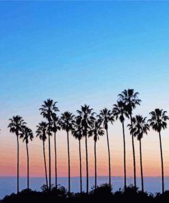 Palm Trees In California Diamond Paintings