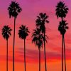 Palm Trees In California Sunset Diamond Paintings