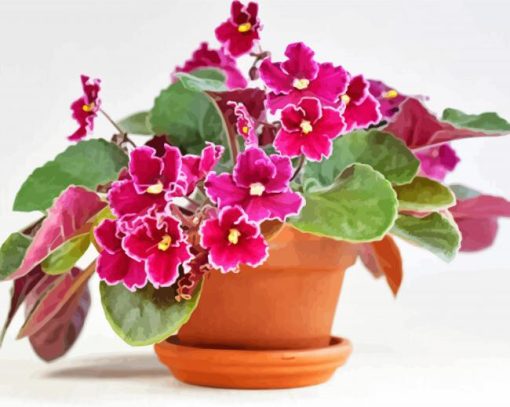 Pretty African Violets Diamond Paintings