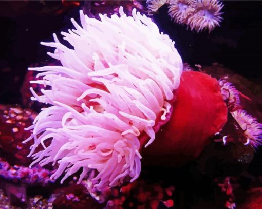 Pink Sea Anemone Diamond Paintings