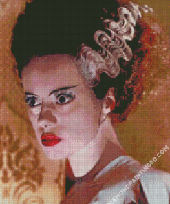 Scary Bride Of Frankenstein Diamond Paintings