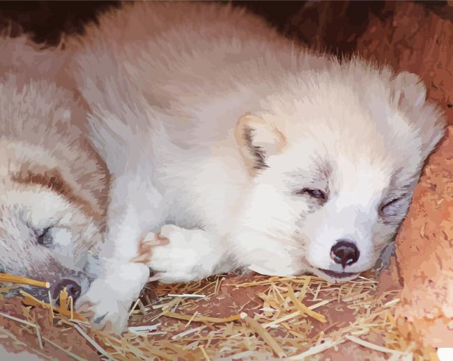 Sleepy Wolf Cubs Diamond Paintings