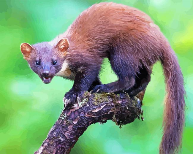 Wild Marten Animal Diamond Paintings