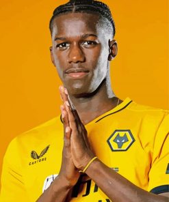 Willy Boly Wolves Player Diamond Paintings