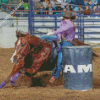 Amanda Welsh Barrel Racing Diamond Paintings