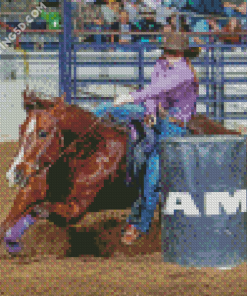 Amanda Welsh Barrel Racing Diamond Paintings