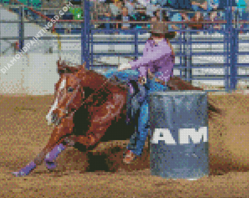 Amanda Welsh Barrel Racing Diamond Paintings