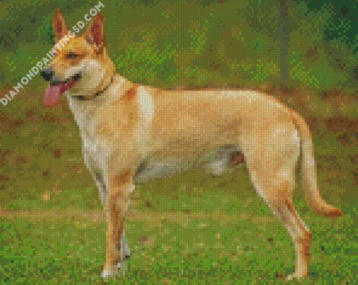 Carolina Dog Diamond Paintings